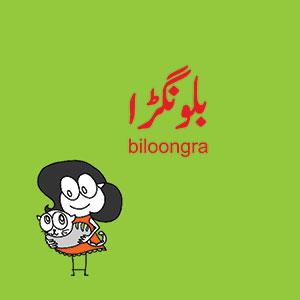 "As-Is" Biloongra - بلونگڑا (Urdu-English)